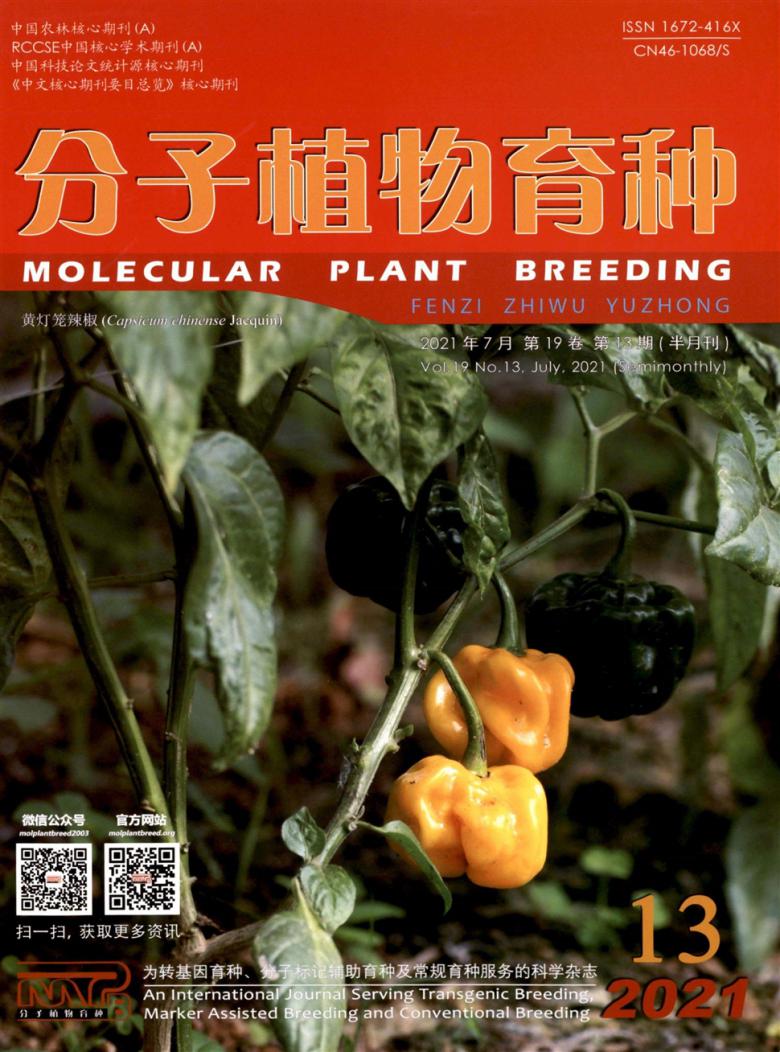 分子植物育种杂志