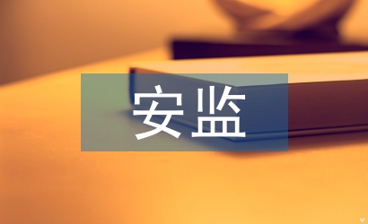 安监站工作总结