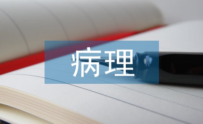 病理论文