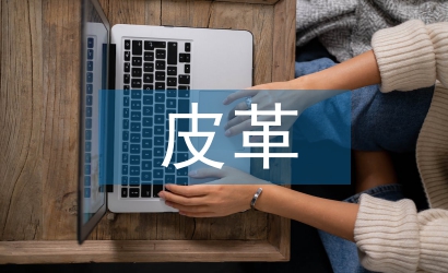 皮革产品