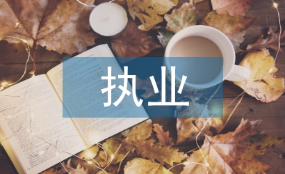 执业审计工作总结