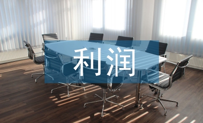 财务报表的利润