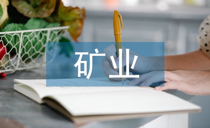 矿业投资论文