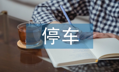 停车调查报告