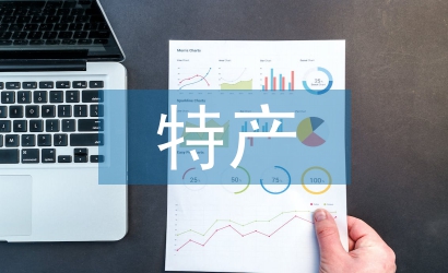 电子商务特产销售系统技术分析