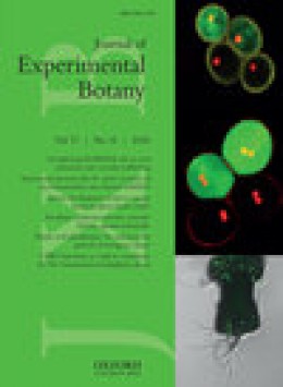 Journal Of Experimental Botany期刊