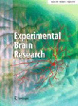 Experimental Brain Research期刊