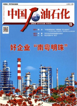 中国石油石化杂志