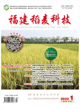 福建稻麦科技杂志