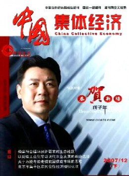 中国集体经济·下半月杂志